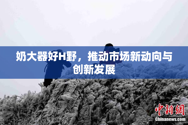 奶大器好H野，推动市场新动向与创新发展