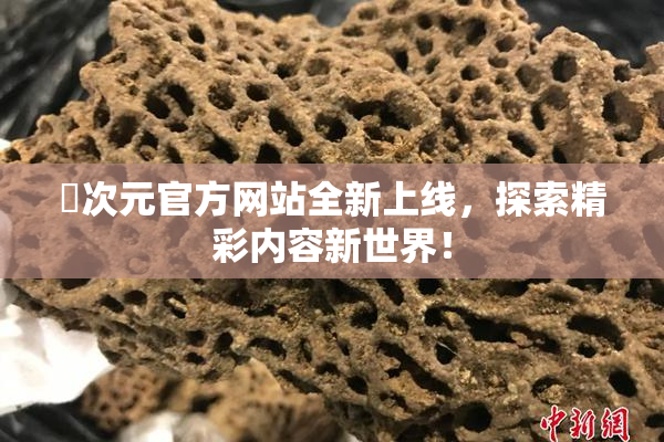 囧次元官方网站全新上线，探索精彩内容新世界！