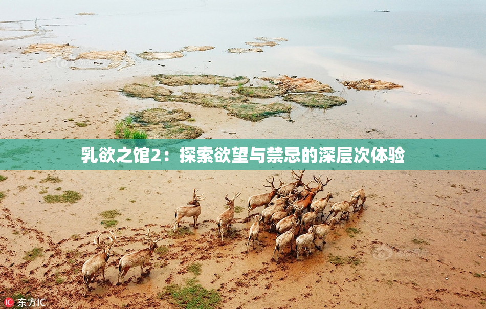 乳欲之馆2：探索欲望与禁忌的深层次体验