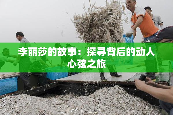李丽莎的故事：探寻背后的动人心弦之旅
