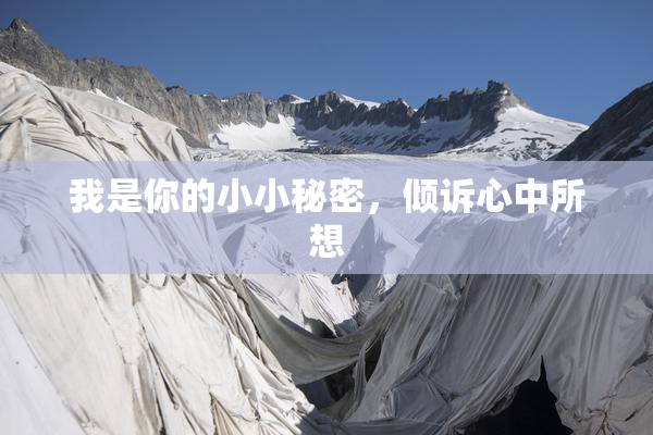 我是你的小小秘密，倾诉心中所想
