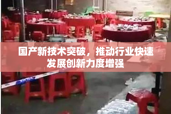 国产新技术突破，推动行业快速发展创新力度增强