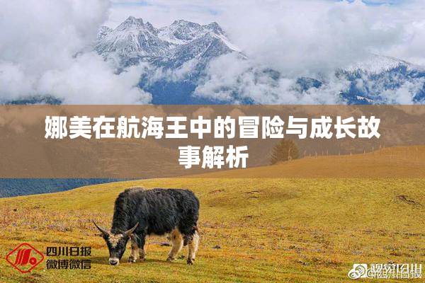 娜美在航海王中的冒险与成长故事解析