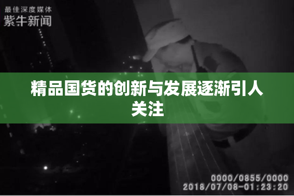 精品国货的创新与发展逐渐引人关注