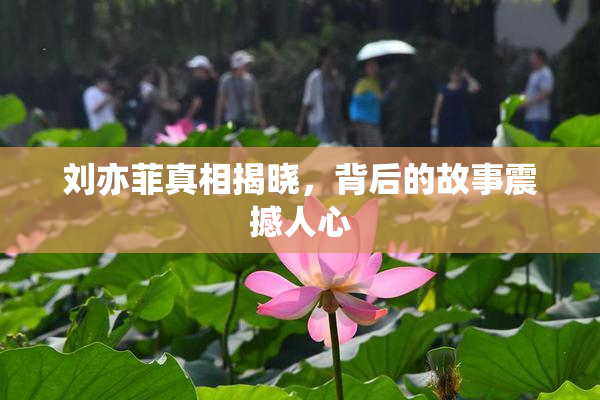 刘亦菲真相揭晓，背后的故事震撼人心