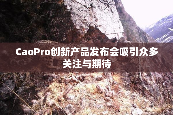 CaoPro创新产品发布会吸引众多关注与期待