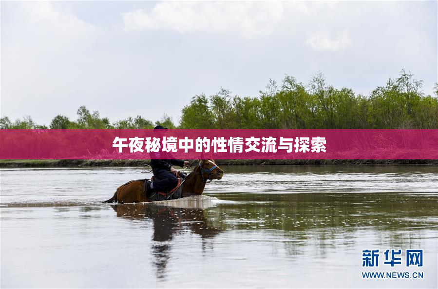 午夜秘境中的性情交流与探索