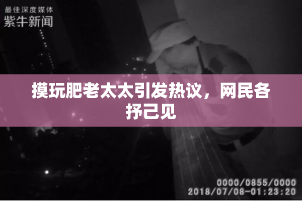 摸玩肥老太太引发热议，网民各抒己见