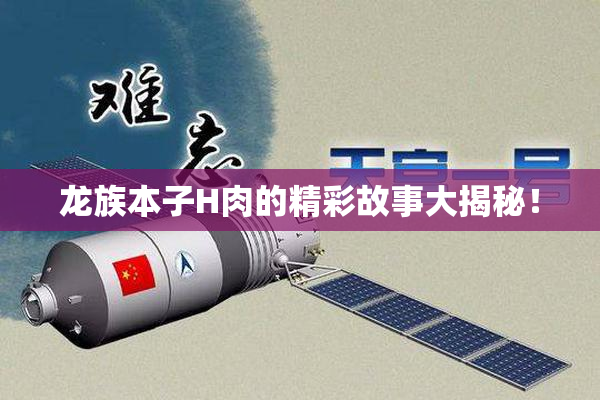龙族本子H肉的精彩故事大揭秘！