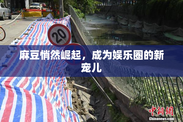 麻豆悄然崛起，成为娱乐圈的新宠儿