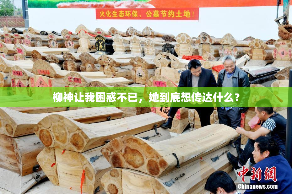 柳神让我困惑不已，她到底想传达什么？