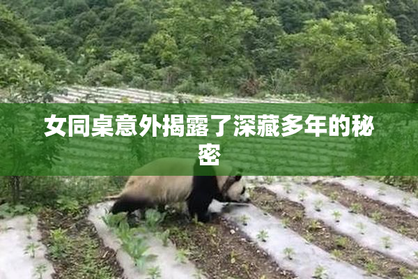 女同桌意外揭露了深藏多年的秘密