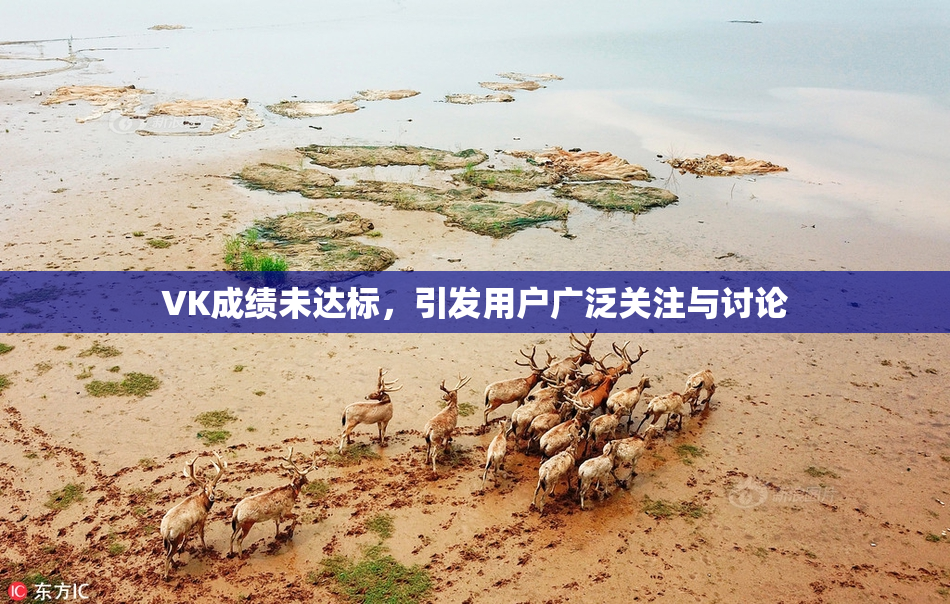 VK成绩未达标，引发用户广泛关注与讨论