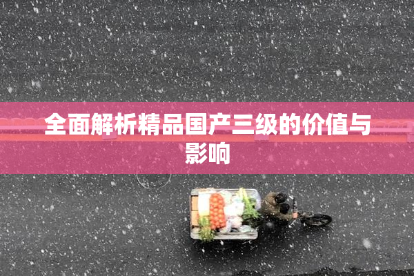 全面解析精品国产三级的价值与影响