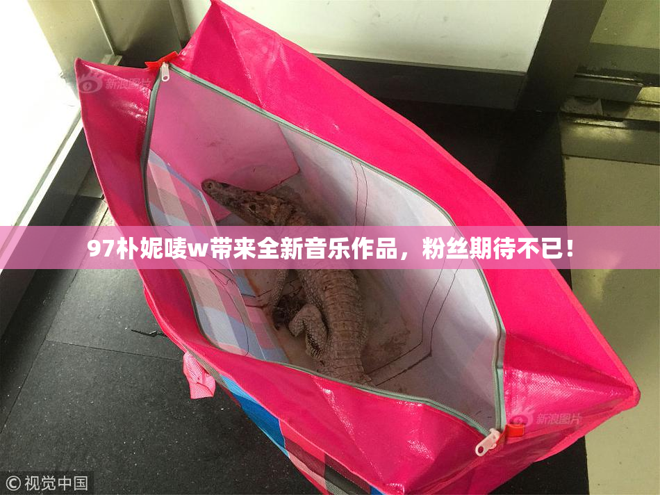 97朴妮唛w带来全新音乐作品，粉丝期待不已！