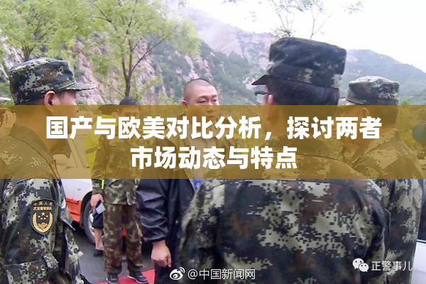 国产与欧美对比分析，探讨两者市场动态与特点