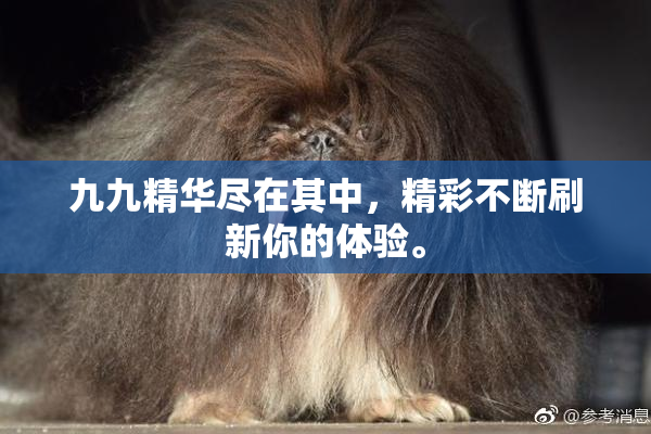九九精华尽在其中，精彩不断刷新你的体验。
