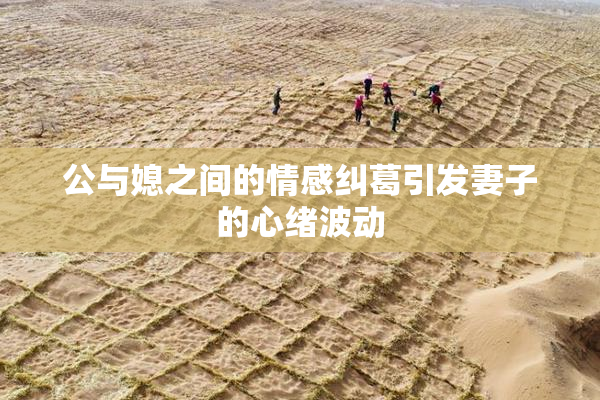 公与媳之间的情感纠葛引发妻子的心绪波动