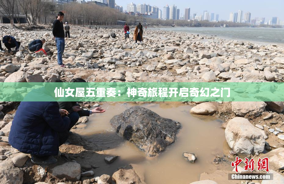 仙女屋五重奏：神奇旅程开启奇幻之门