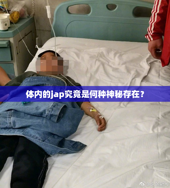 体内的jap究竟是何种神秘存在？