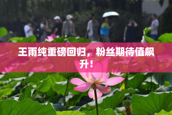 王雨纯重磅回归，粉丝期待值飙升！