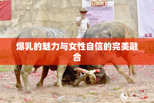 爆乳的魅力与女性自信的完美融合
