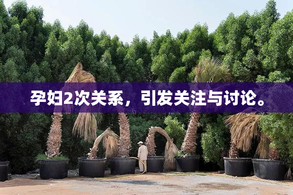 孕妇2次关系，引发关注与讨论。