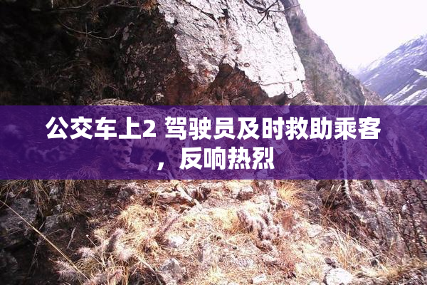 公交车上2 驾驶员及时救助乘客，反响热烈