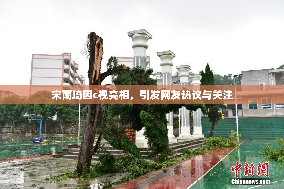 宋雨琦因c视亮相，引发网友热议与关注