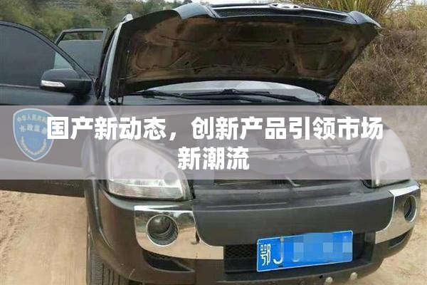 国产新动态，创新产品引领市场新潮流