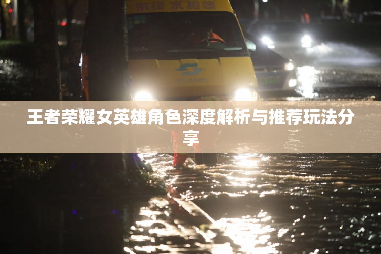 王者荣耀女英雄角色深度解析与推荐玩法分享