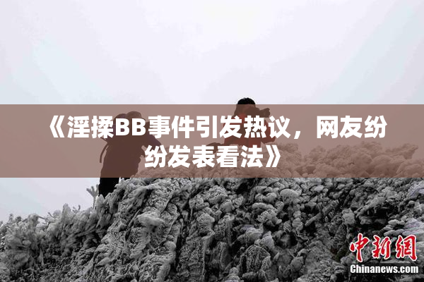 《淫揉BB事件引发热议，网友纷纷发表看法》