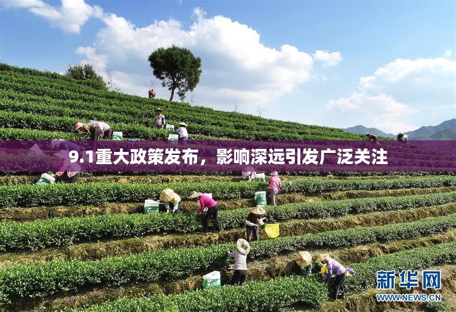 9.1重大政策发布，影响深远引发广泛关注