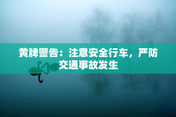 黄牌警告：注意安全行车，严防交通事故发生