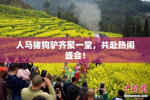 人马猪狗驴齐聚一堂，共赴热闹盛会！