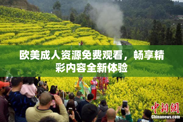 欧美成人资源免费观看，畅享精彩内容全新体验