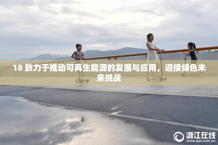 18 致力于推动可再生能源的发展与应用，迎接绿色未来挑战