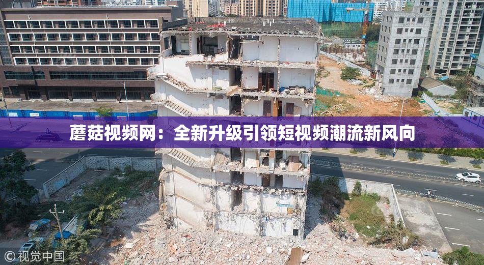 蘑菇视频网：全新升级引领短视频潮流新风向