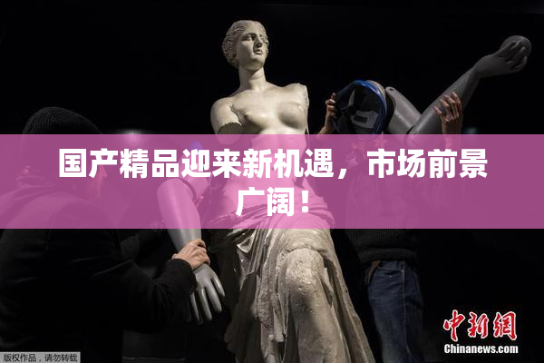 国产精品迎来新机遇，市场前景广阔！