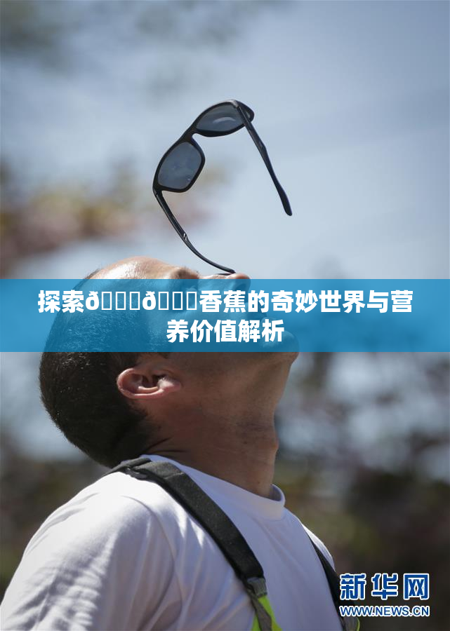 探索🔞🔞香蕉的奇妙世界与营养价值解析