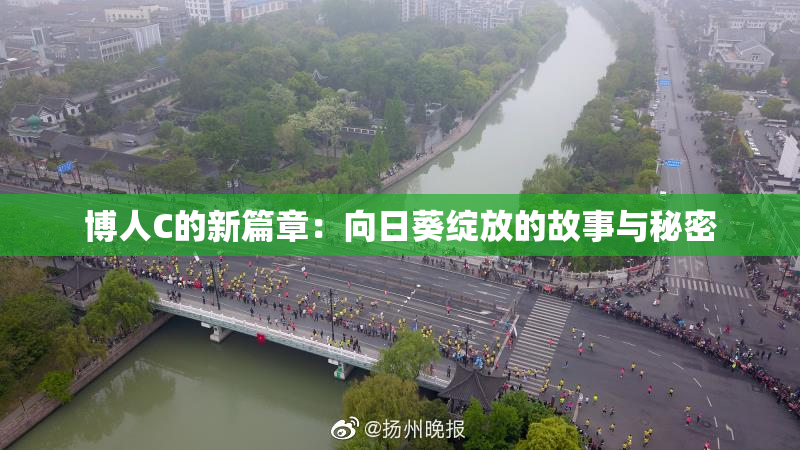 博人C的新篇章：向日葵绽放的故事与秘密