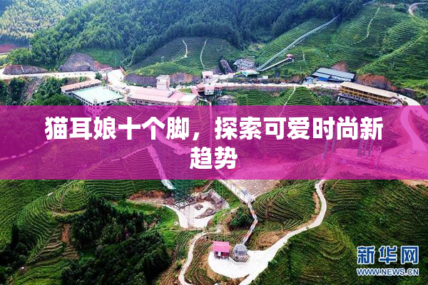 猫耳娘十个脚，探索可爱时尚新趋势