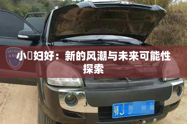 小婬妇好：新的风潮与未来可能性探索