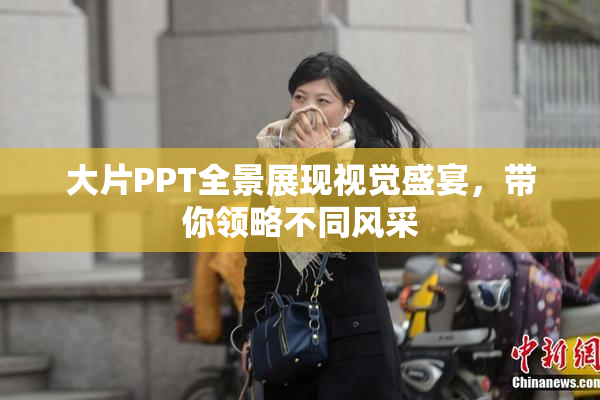 大片PPT全景展现视觉盛宴，带你领略不同风采