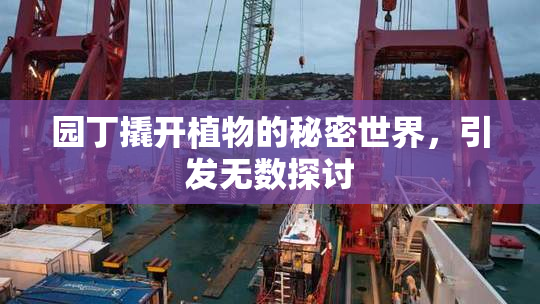 园丁撬开植物的秘密世界，引发无数探讨