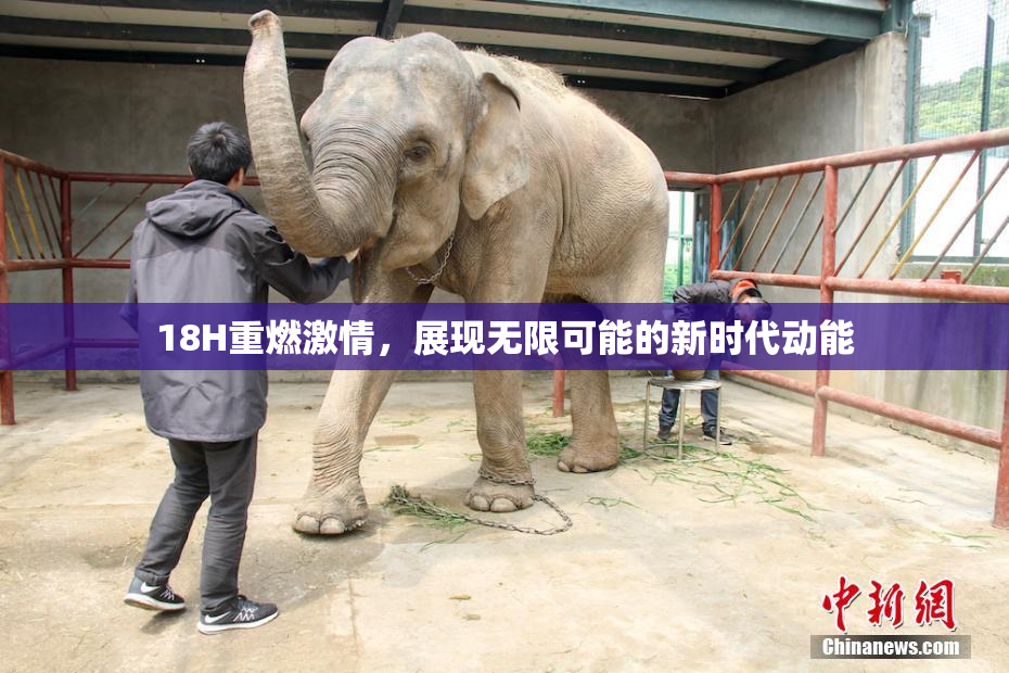 18H重燃激情，展现无限可能的新时代动能