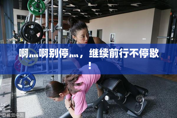 啊灬啊别停灬，继续前行不停歇！