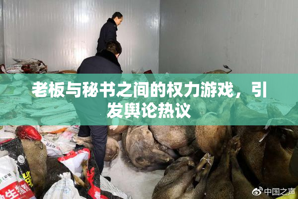 老板与秘书之间的权力游戏，引发舆论热议