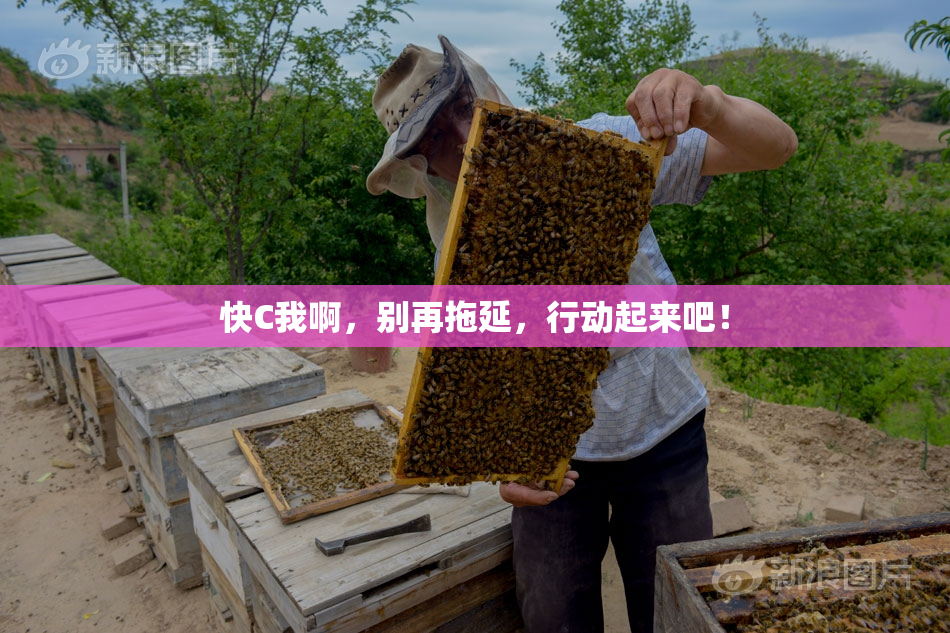 快C我啊，别再拖延，行动起来吧！