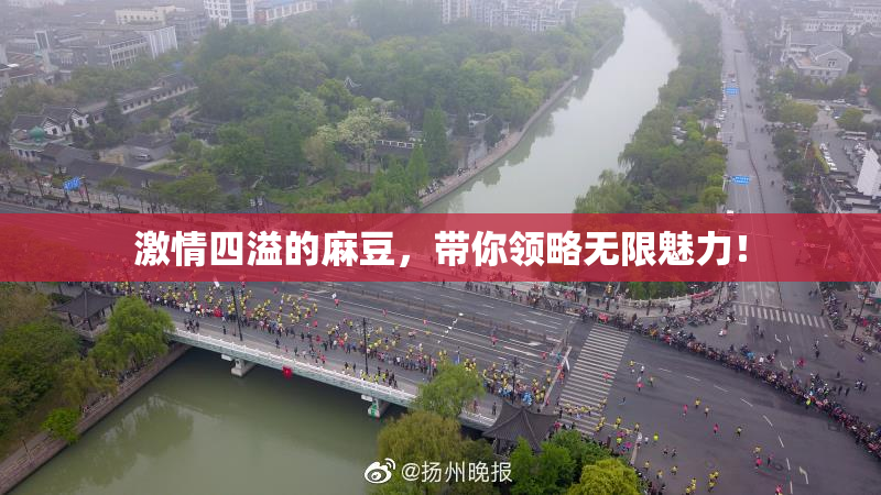 激情四溢的麻豆，带你领略无限魅力！